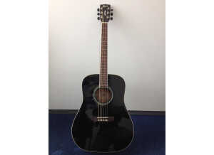 Cort Earth 100 - Black