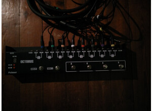 Palmer Octobus (41973)