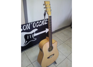 Tanglewood tw28 xfm ce