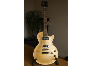 Gibson Les Paul BFG (65330)