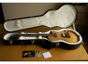 Gibson Les Paul BFG (11817)