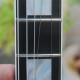 Elliot Easton SG Elliot Easton SG