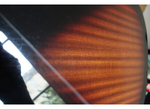 Tanglewood TW73 VS (66318)