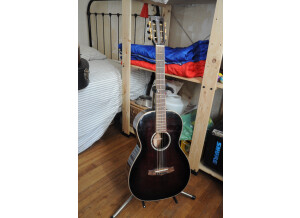 Tanglewood TW73 VS (3384)