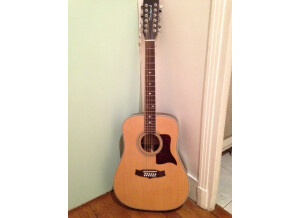 Tanglewood TW15/12 NS E (57654)