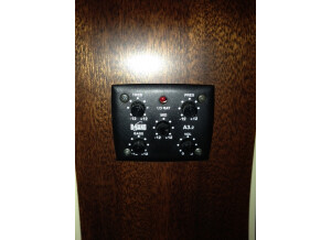 Tanglewood TW15/12 NS E (85443)