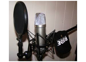 Rhodes NT1-A