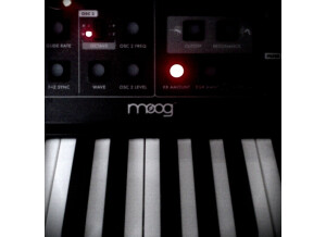 Moog Music Little Phatty Stage II TE (Thomann Edition) (84096)