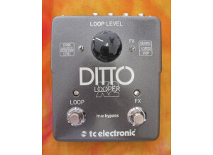 TC Electronic Ditto X2 (42434)
