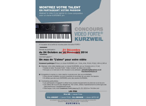 KURZWEIL FRENCH modifie 31-12