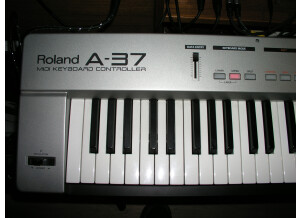 Roland A-37 (11259)