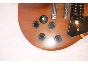 Gibson The Paul (77720)