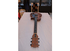 Gibson The Paul (65992)
