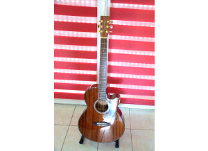 Tanglewood TW47 B (62540)