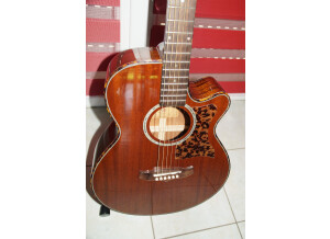 Tanglewood TW47 B (86449)