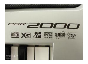 Yamaha PSR-2000 (33792)