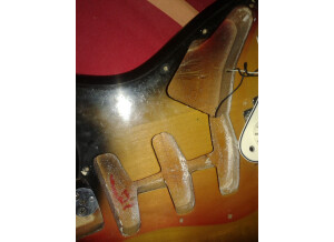 Fender Stratocaster (1973)