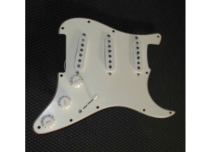 Fender Loaded Pickguard (88369)