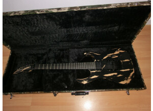 Vigier Excalibur Original Age Violin Guitares de forme SC