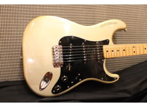 Fender 25th anniversary American Stratocaster (1979) (59279)