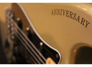 Fender 25th anniversary American Stratocaster (1979) (26807)
