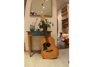 Cole Clark FL1AC Bunya/Maple (45426)