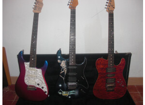 Valley Arts Guitars Custom Pro (31466)