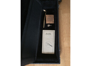 Valley Arts Guitars Custom Pro (93607)