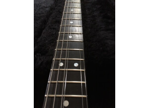 Valley Arts Guitars Custom Pro (82143)