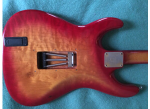 Valley Arts Guitars Custom Pro (61093)