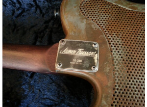 James Trussart Deluxe Steelcaster Rust on Cream Roses (29079)