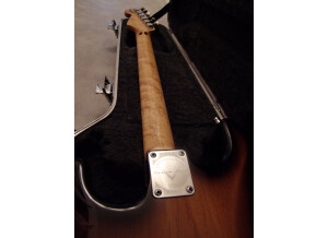 Warmoth Stratocaster (31504)