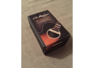 L.R. Baggs M1 Active (8316)