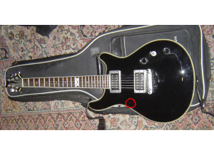 VIG Guitars Spirit (76039)