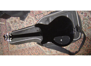 VIG Guitars Spirit (25332)