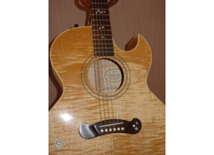 Gibson EC-20 Starburst (4691)