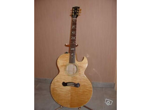 Gibson EC-20 Starburst (30459)