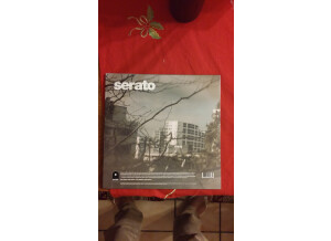 Serato Control Vinyl (43701)