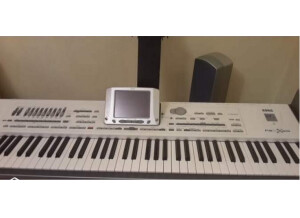 Korg Pa2XPRO (25300)