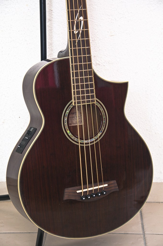 Ibanez EWB205WNE