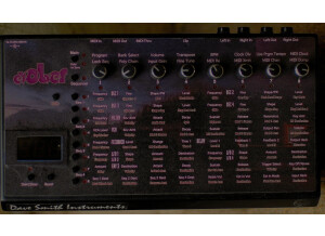 Dave Smith Instruments Evolver (11827)