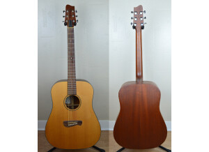 Tacoma Guitars DM9 (39508)