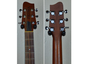 Tacoma Guitars DM9 (38220)