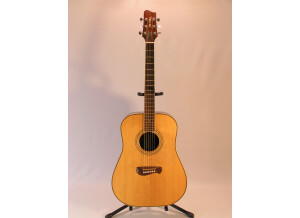 Tacoma Guitars DR20 (41964)