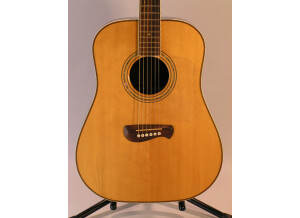 Tacoma Guitars DR20 (17889)