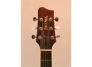 Tacoma Guitars DR20 (92830)