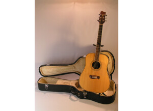 Tacoma Guitars DR20 (63422)
