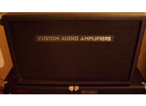 Custom Audio Electronics 2X12 (18368)