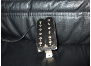 Seymour Duncan TBPG-1 Pearly Gates (52746)