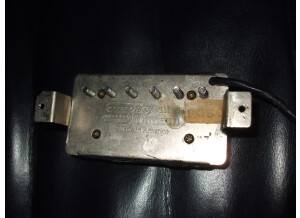 Seymour Duncan TBPG-1 Pearly Gates (53751)